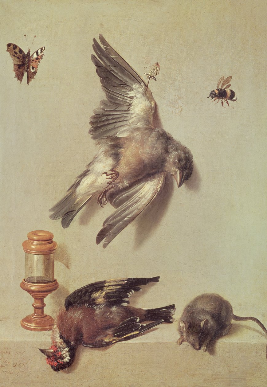 Stilleben af døde fugle og en mus, 1712 swed av Jean Baptiste Oudry