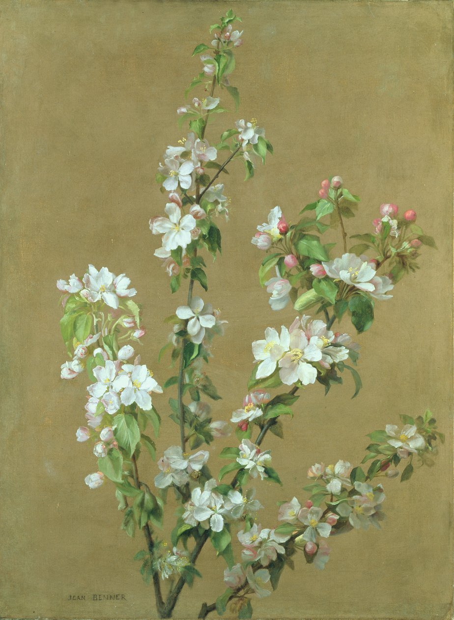 äppelblom av Jean Benner