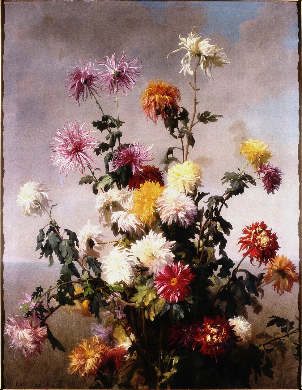 Studier av blommor av Jean Benner