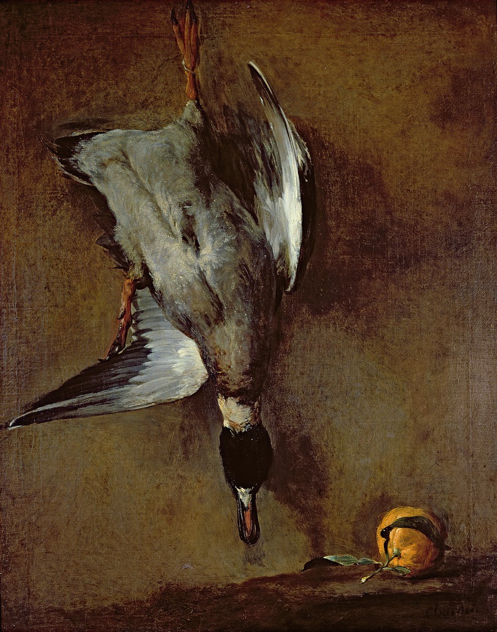 En gräsand hängande på en vägg med en Sevilla-apelsin, 1720-30 oil n canvas) av Jean Baptiste Simeon Chardin