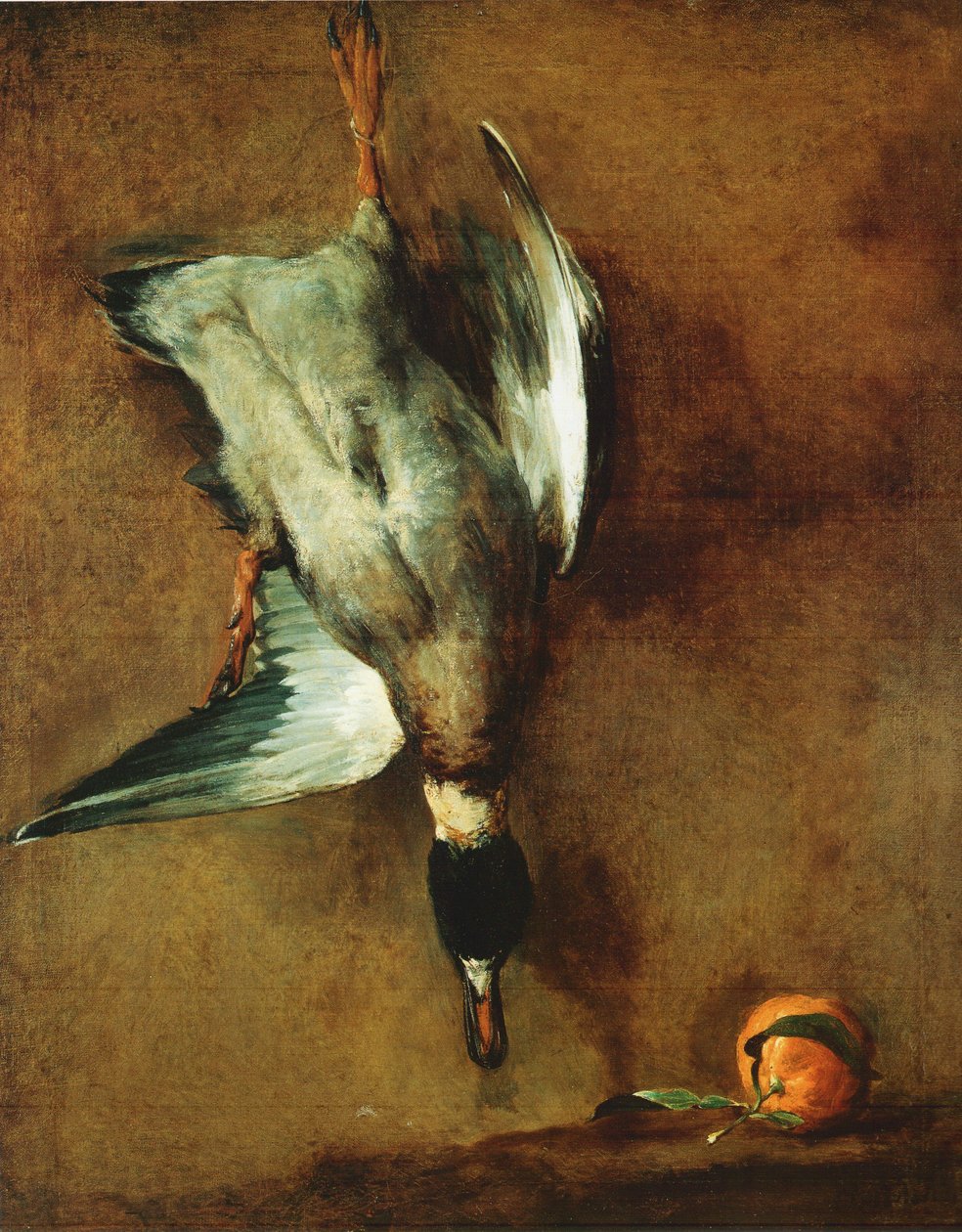 En grön krage anka fäst på väggen och en bigarade av Jean Baptiste Simeon Chardin