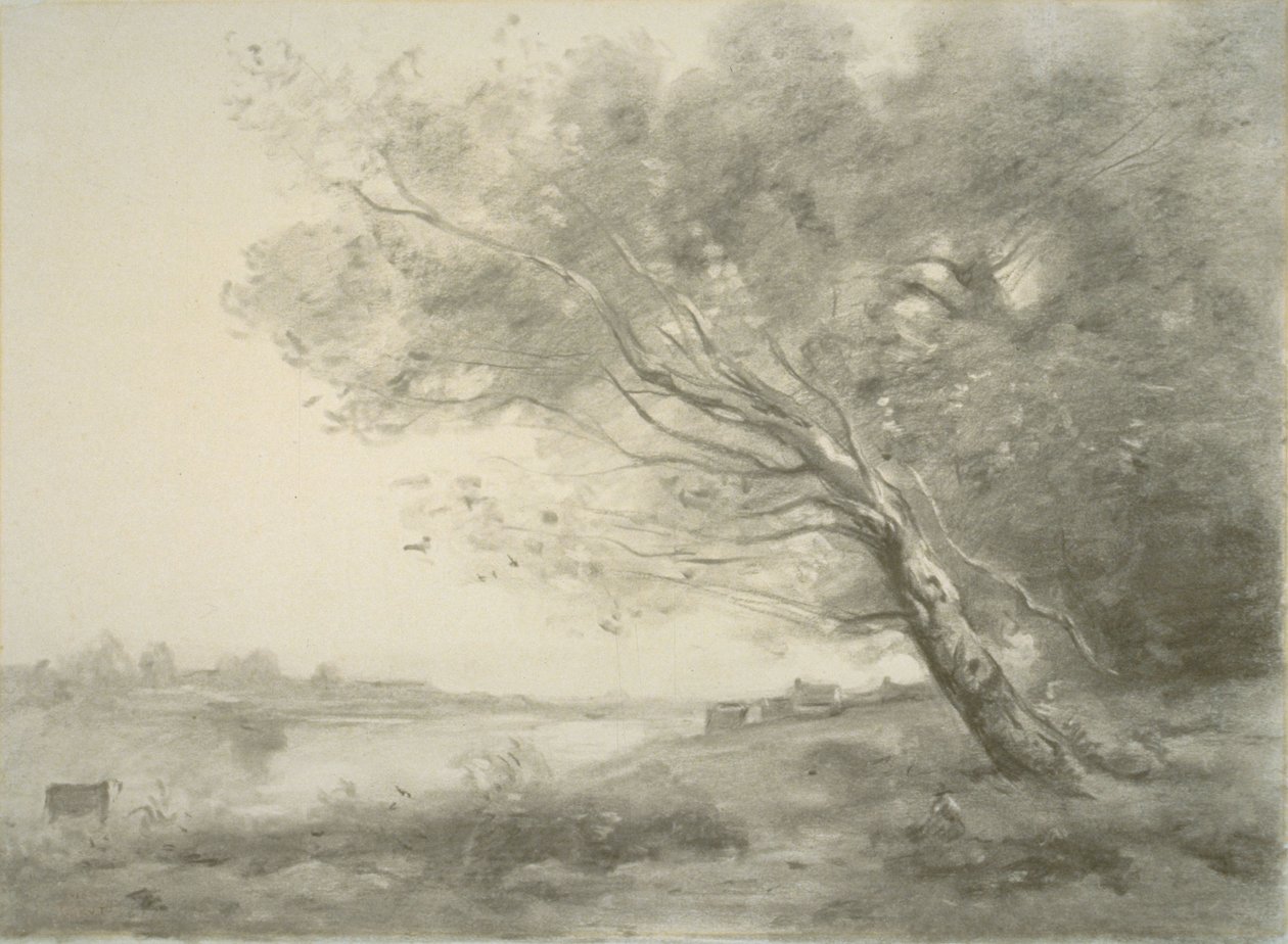 Böjt träd vid vattnet av Jean-Baptiste-Camille Corot
