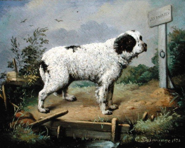 Ett Newfoundland på en banvall av Jean Baptiste Desgrange