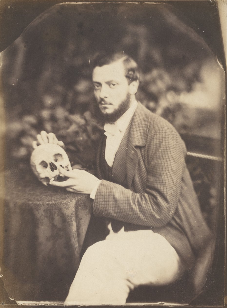 A Vanitas, ca. 1856 (foto) av Jean Baptiste Frénet