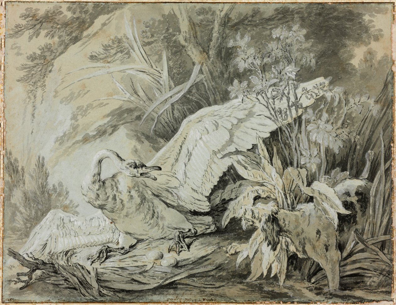 En vild svan attackerad av en hund av Jean-Baptiste Oudry