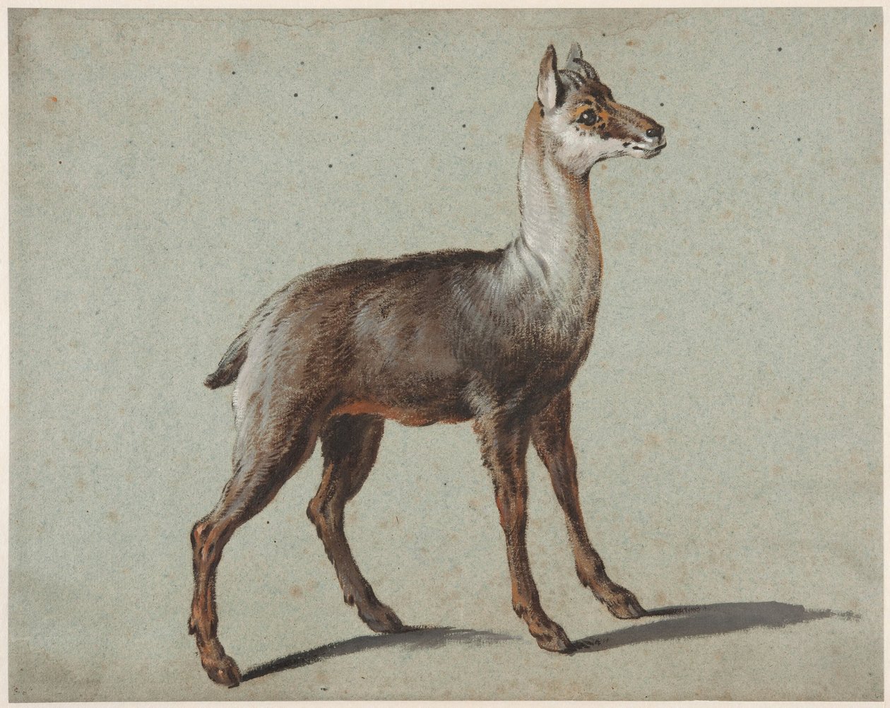 Gems av Jean-Baptiste Oudry