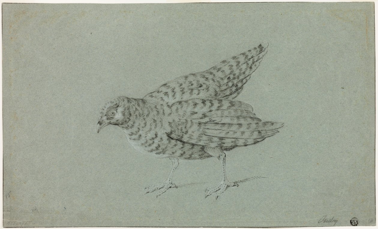 Rapphöna av Jean-Baptiste Oudry