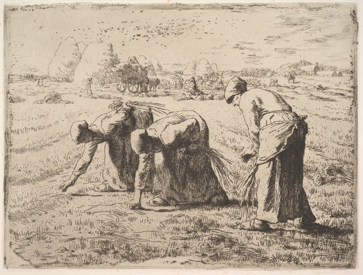 Axplockerskorna av Jean-Francois Millet