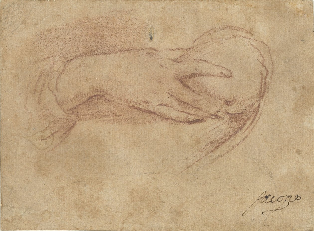 Handen på ett bröst av Jean Antoine Watteau (rejected attribution)