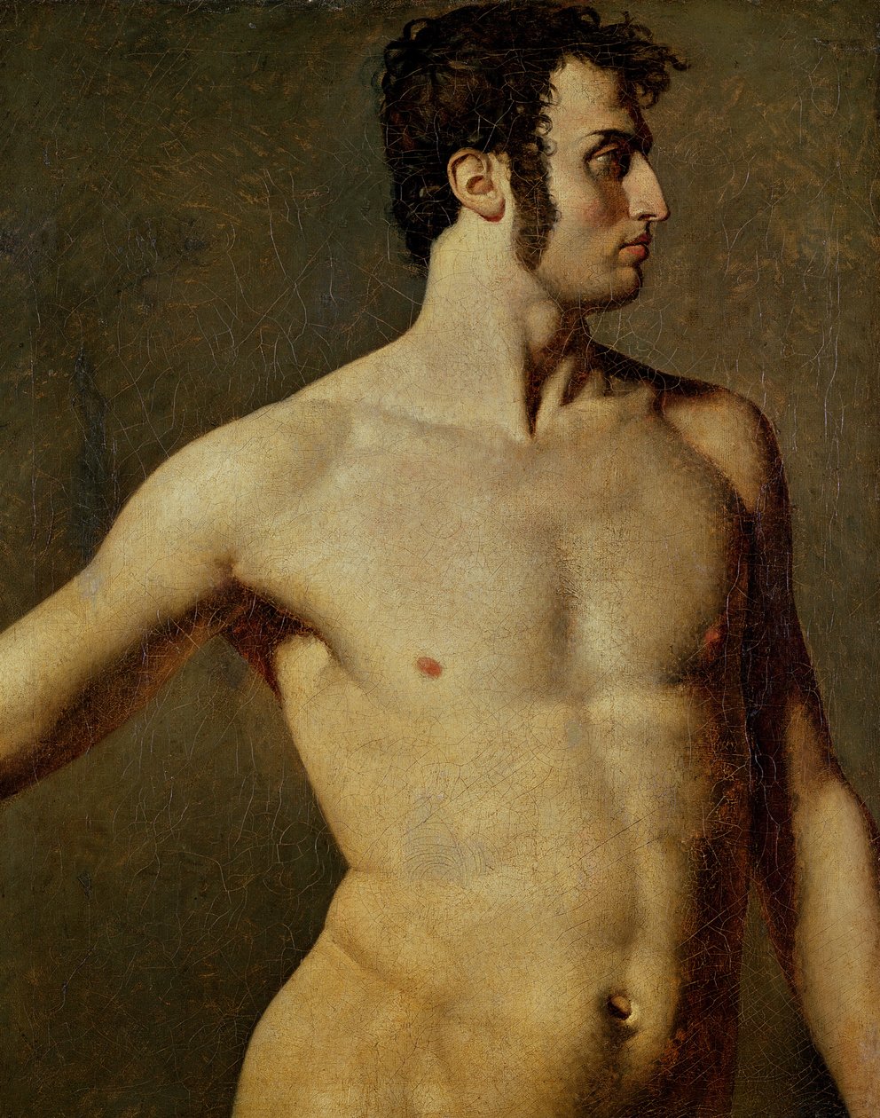 Manlig torso av Jean Auguste Dominique Ingres