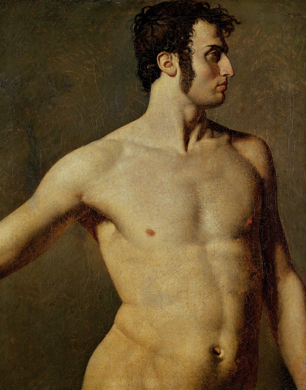 Manlig torso, ca 1800 (olja på duk) av Jean Auguste Dominique Ingres