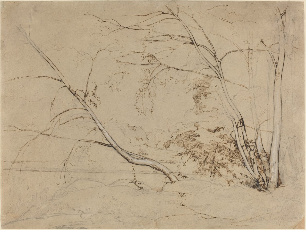 Trädklump vid Civita Castellana av Jean Baptiste Camille Corot