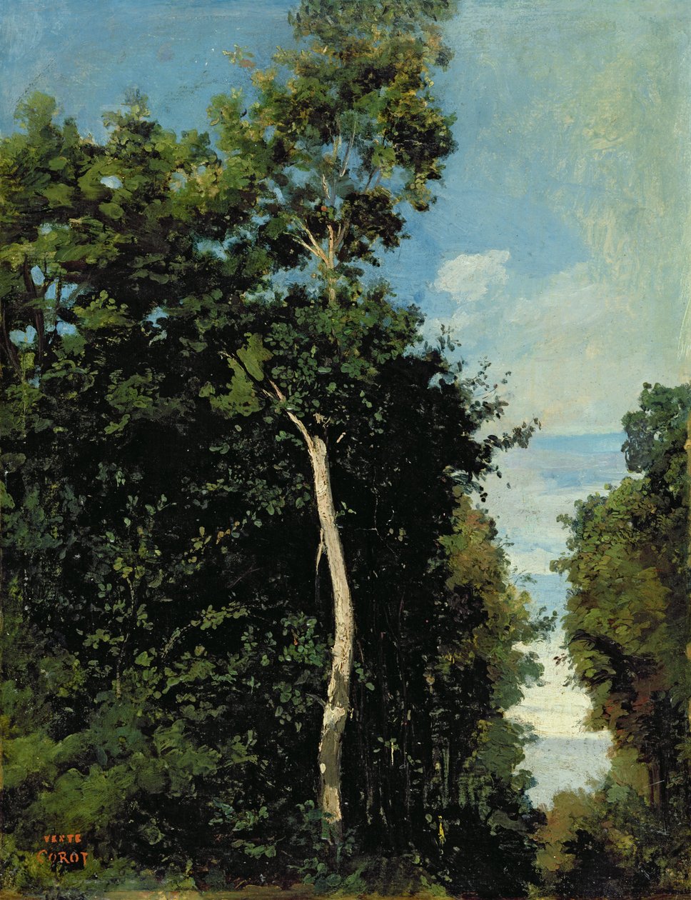 The Wood on the Cote de Grace i Honfleur (olja på duk ombord) av Jean Baptiste Camille Corot