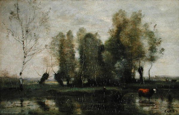 Träd i ett sumpigt landskap, ca 1855-60 (olja på duk) av Jean Baptiste Camille Corot