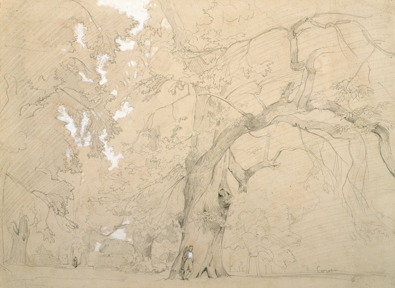Ung man framför en stor ek, ca 1840 (penna och gouache på papper) av Jean Baptiste Camille Corot