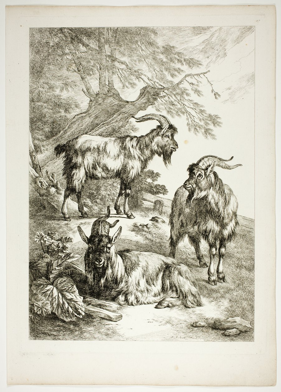 Plåt sjutton av 38 från Oeuvres de J. B. Huet av Jean Baptiste Huet