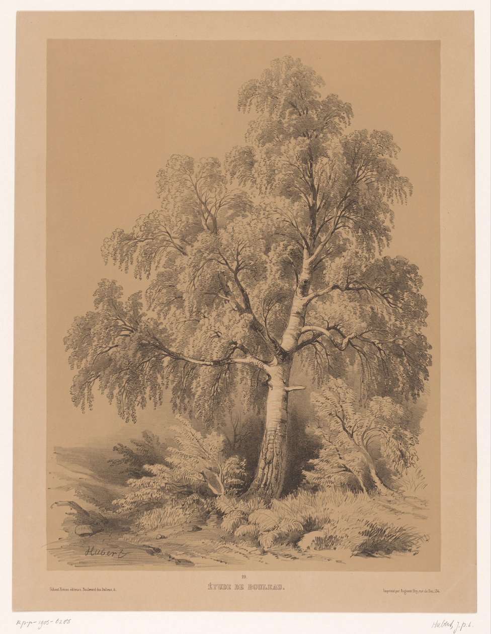 Studie van een Berk Björkstudie (titel på objekt) Plånbok från Jean Baptiste Louis Hubert (serietitel) An Artist