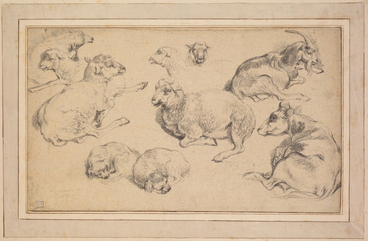 Studieblad med får, getter och hundar, c. 1780. av Jean Baptiste Marie Huet