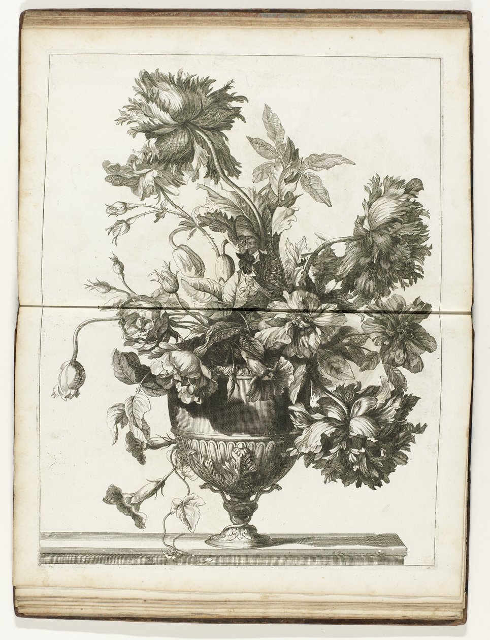 Bloemenvaas Books of Several Vazes of Flowers gjorda efter det naturliga (serietitel) av Jean Baptiste Monnoyer