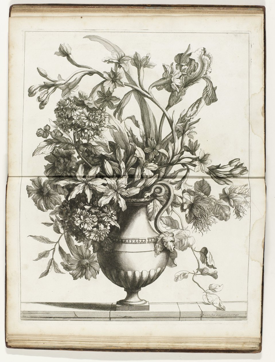 Bloemenvaas Books of Several Vazes of Flowers gjorda efter det naturliga (serietitel) av Jean Baptiste Monnoyer