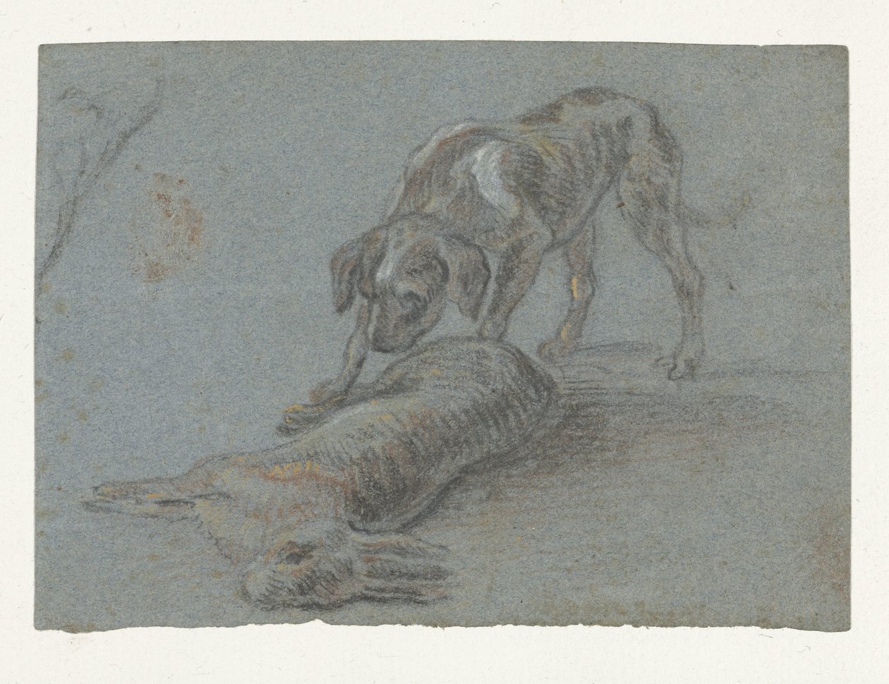 Hund med en skjuten hare av Jean Baptiste Oudry (possibly)