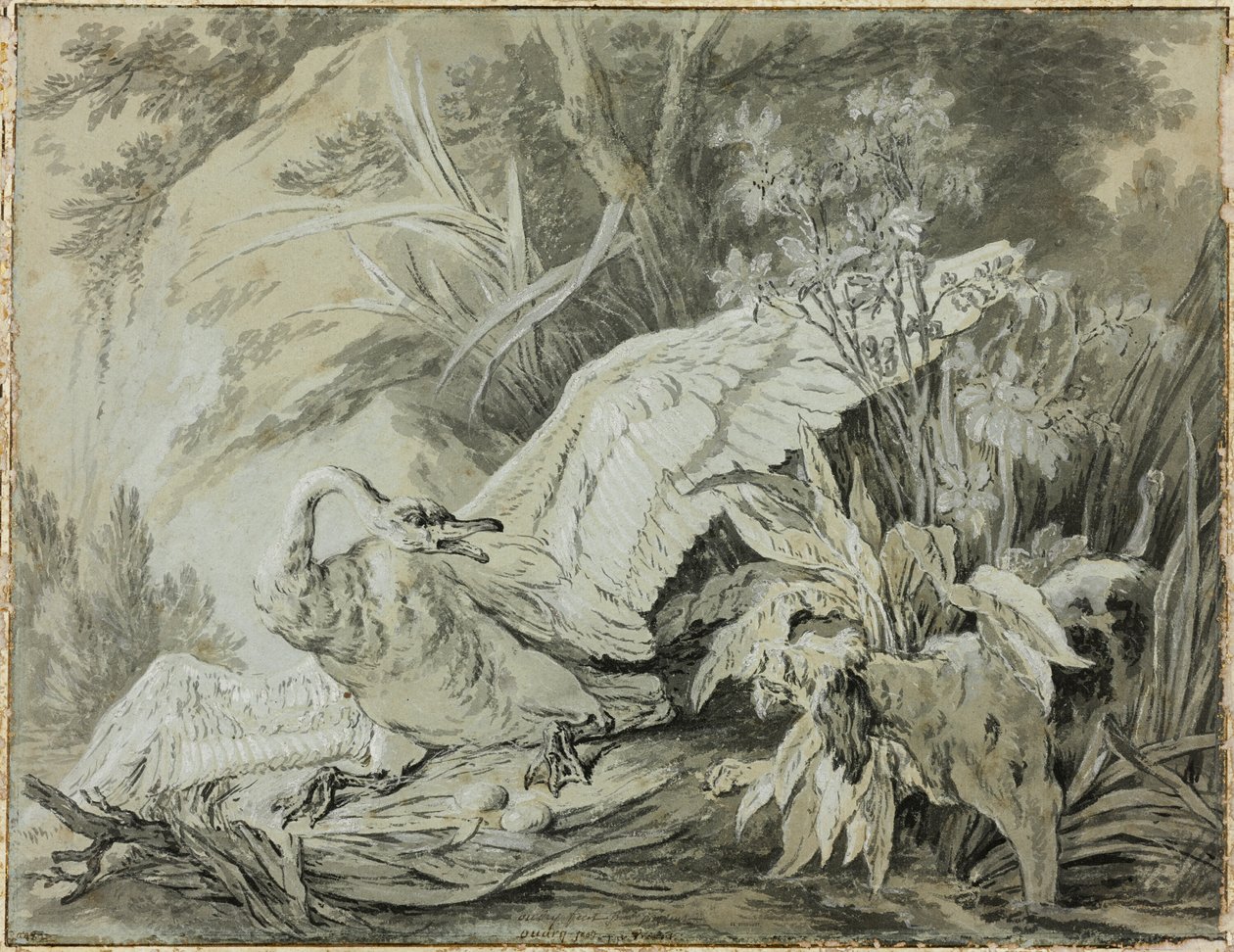 En vild svan attackerad av en hund av Jean Baptiste Oudry