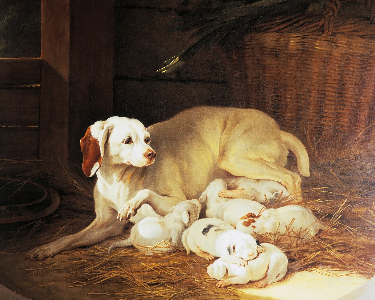 Tik ammande valpar, detalj från Lise et ses petits, av Jean-Baptiste Oudry (1686-1755), Frankrike av Jean Baptiste Oudry