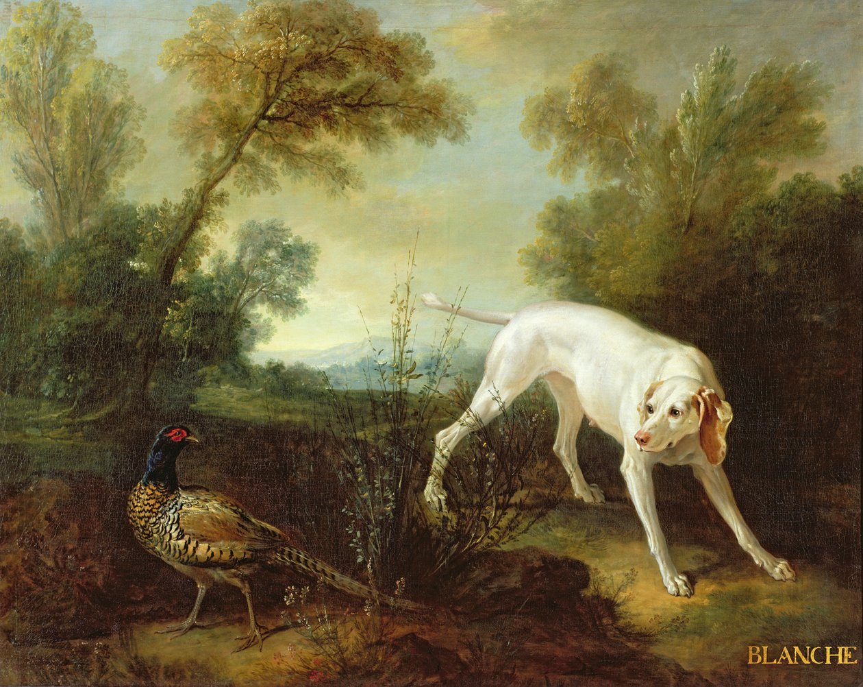 Blanche, tik från Royal Hunting Pack av Jean Baptiste Oudry
