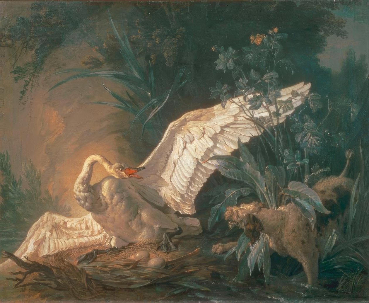 Barbethund attackerar en svan i sitt bo av Jean Baptiste Oudry