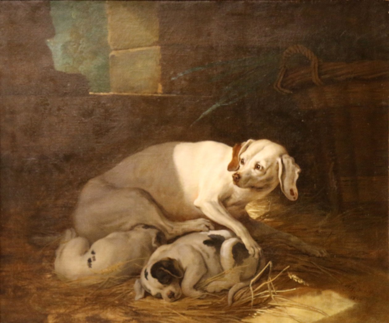 Hund som diar sina valpar. av Jean Baptiste Oudry