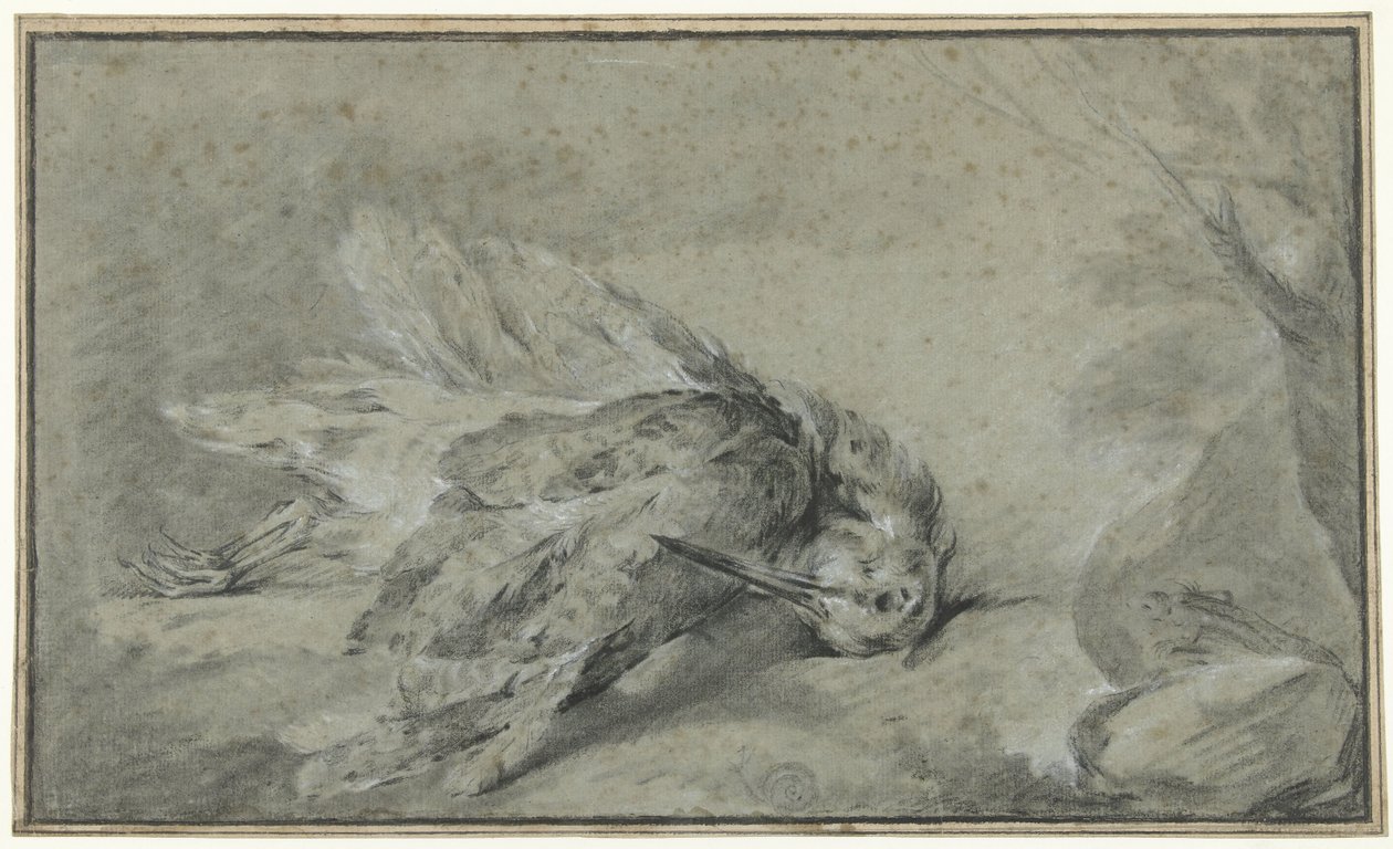 Död skogssnäppa (Scolopax rusticola) av Jean Baptiste Oudry