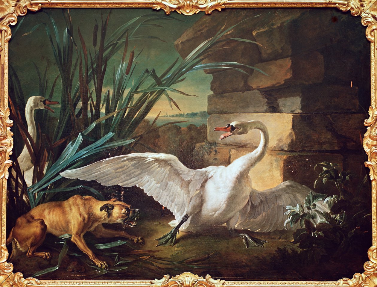 Hund och svanar av Jean Baptiste Oudry