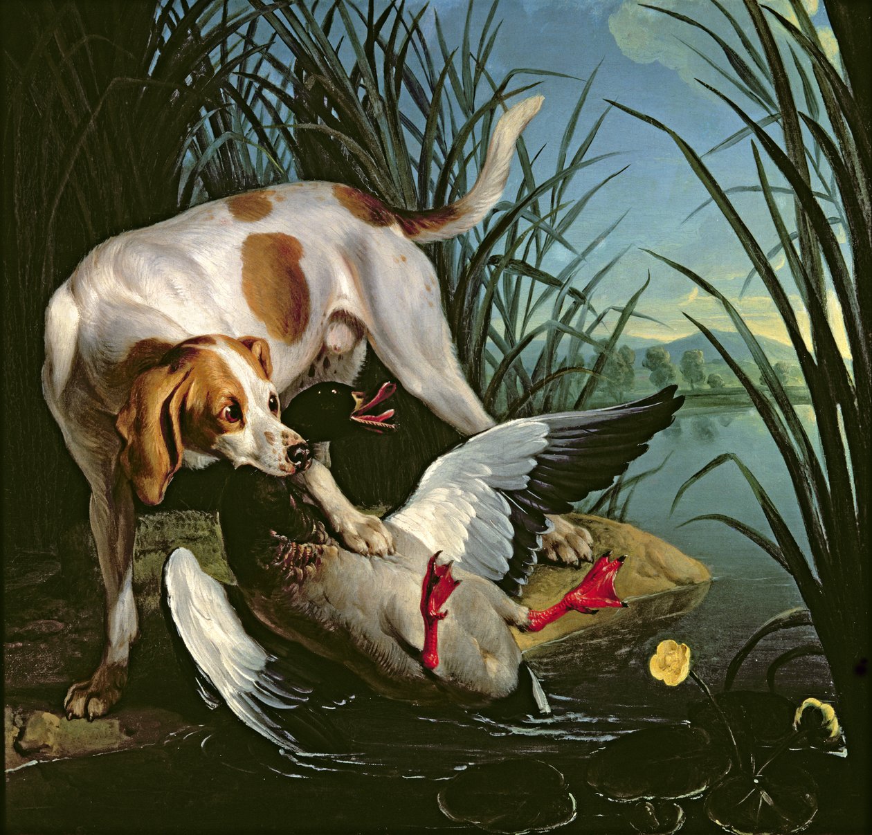 Hund med en vild anka av Jean Baptiste Oudry