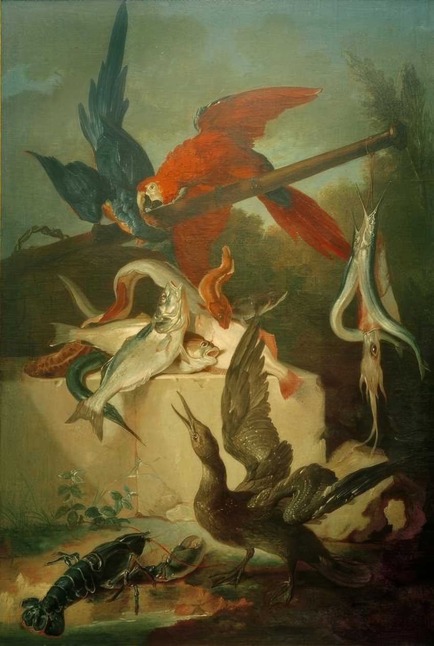 Fiskar, sjöfåglar och papegojor av Jean Baptiste Oudry