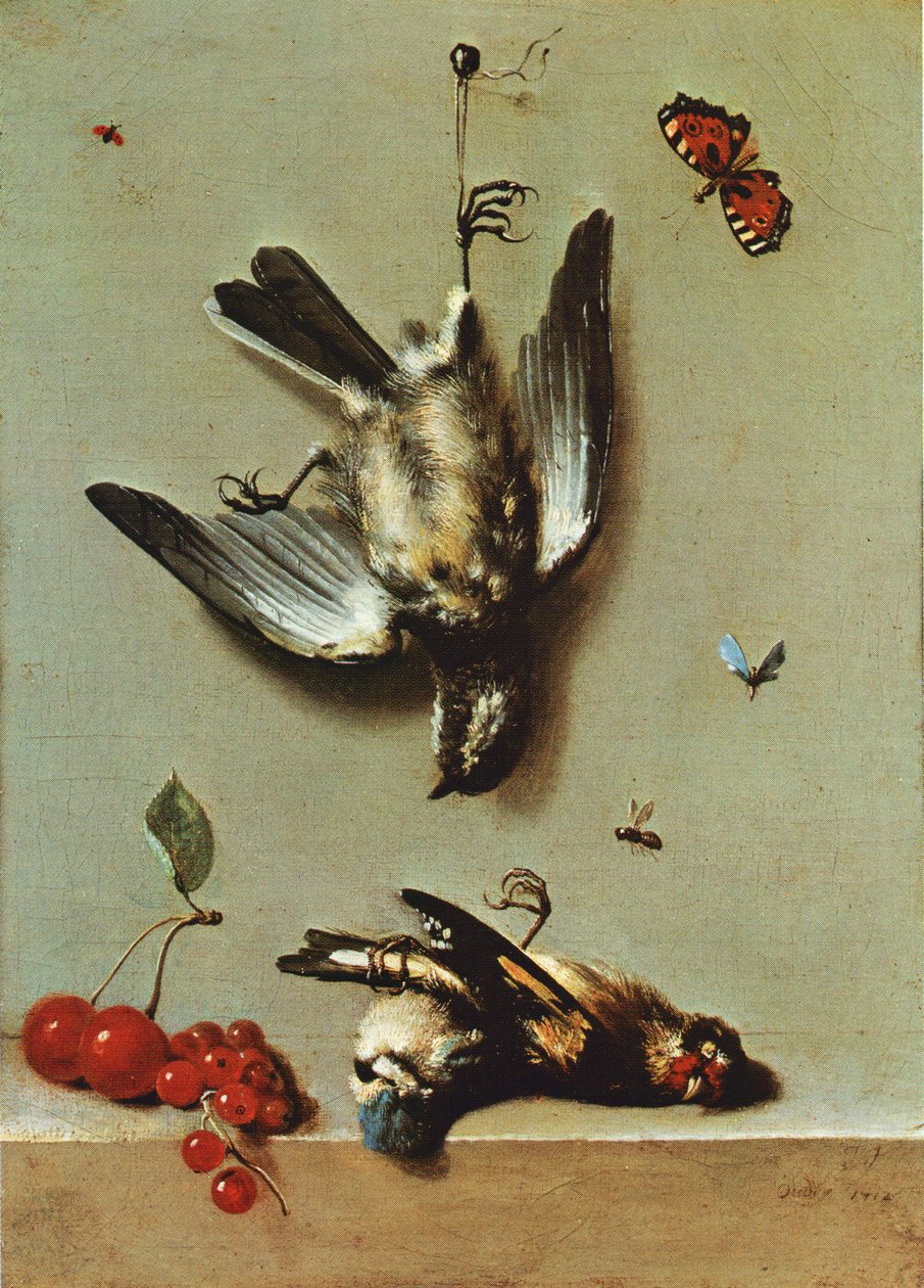 Stilleben med tre döda fåglar, vinbär, körsbär och insekter av Jean Baptiste Oudry