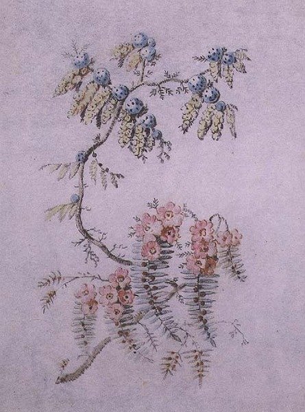 Dekorativ studie av blommor och bär av Jean Baptiste Pillement