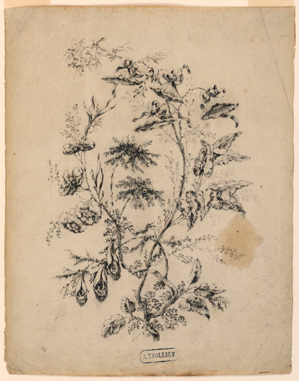 Teckning, gren av ett fantastiskt träd, 1775-1800 av Jean Baptiste Pillement