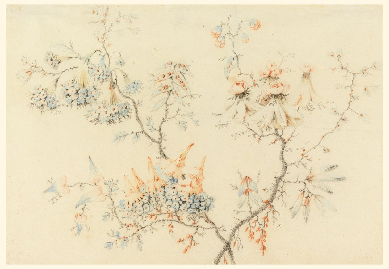 Teckning, blommande grenar, 1775-1800 av Jean Baptiste Pillement