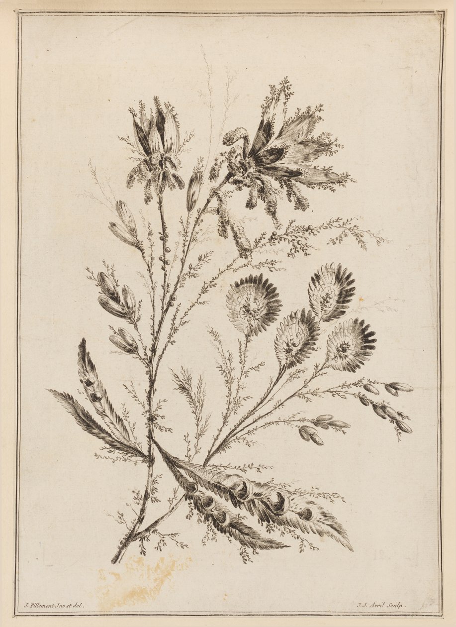 Blomgren av Jean Baptiste Pillement