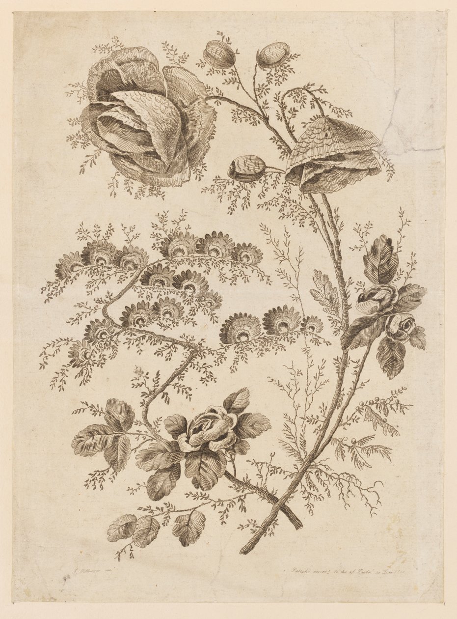 Flower Bough, från "Cahier de Fleurs Singuliers" av Jean Baptiste Pillement