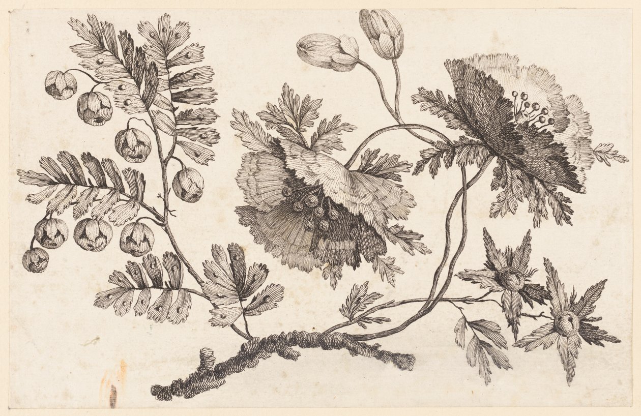 Flower Bough, från "Chinese Flower Collection" av Jean Baptiste Pillement