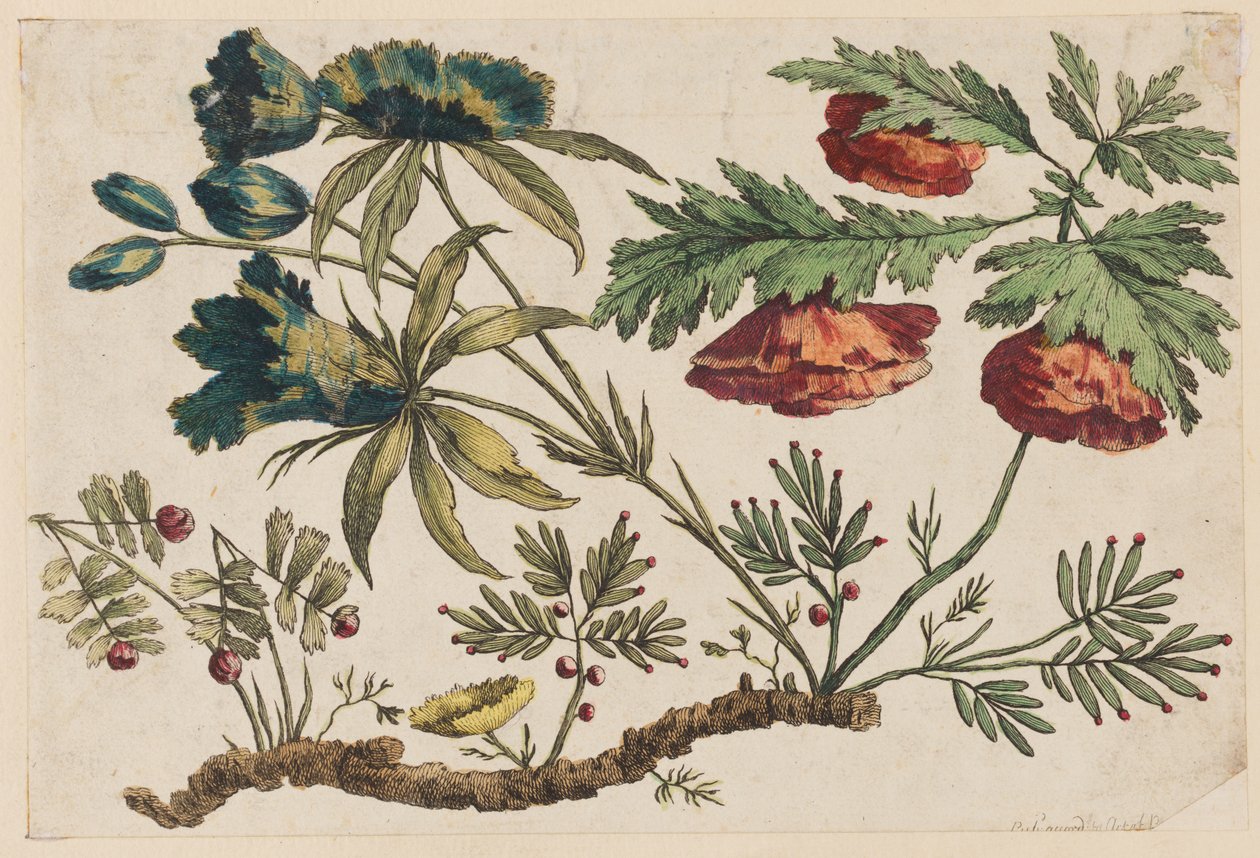 Flower Bough, från "Chinese Flower Collection" av Jean Baptiste Pillement