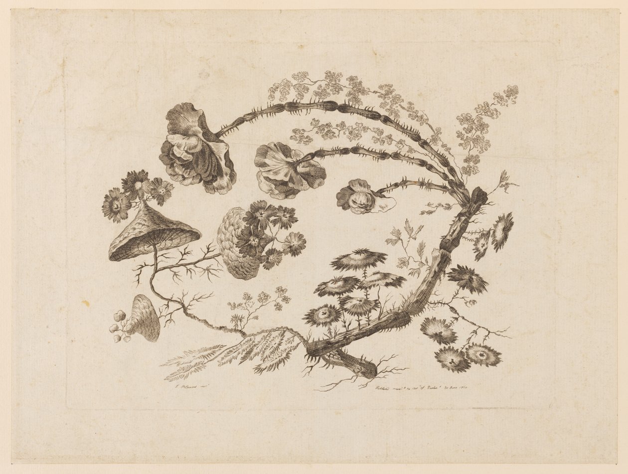 Flower Boughs, från "Samling av olika fantasiblommor i kinesisk smak" av Jean Baptiste Pillement