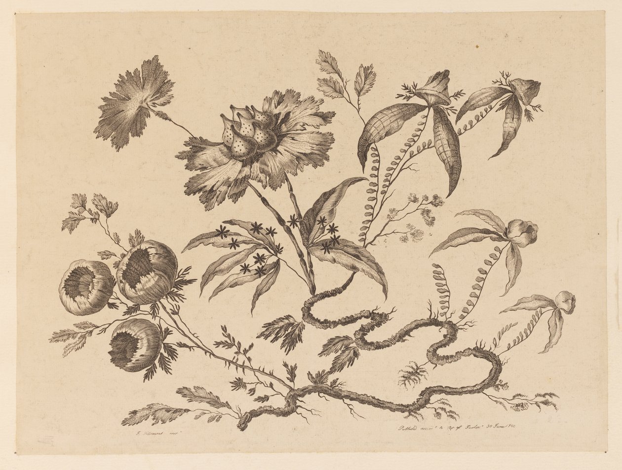 Blomma köpt, från "Collection of Different Fantasy Flowers in Chinese Taste" av Jean Baptiste Pillement