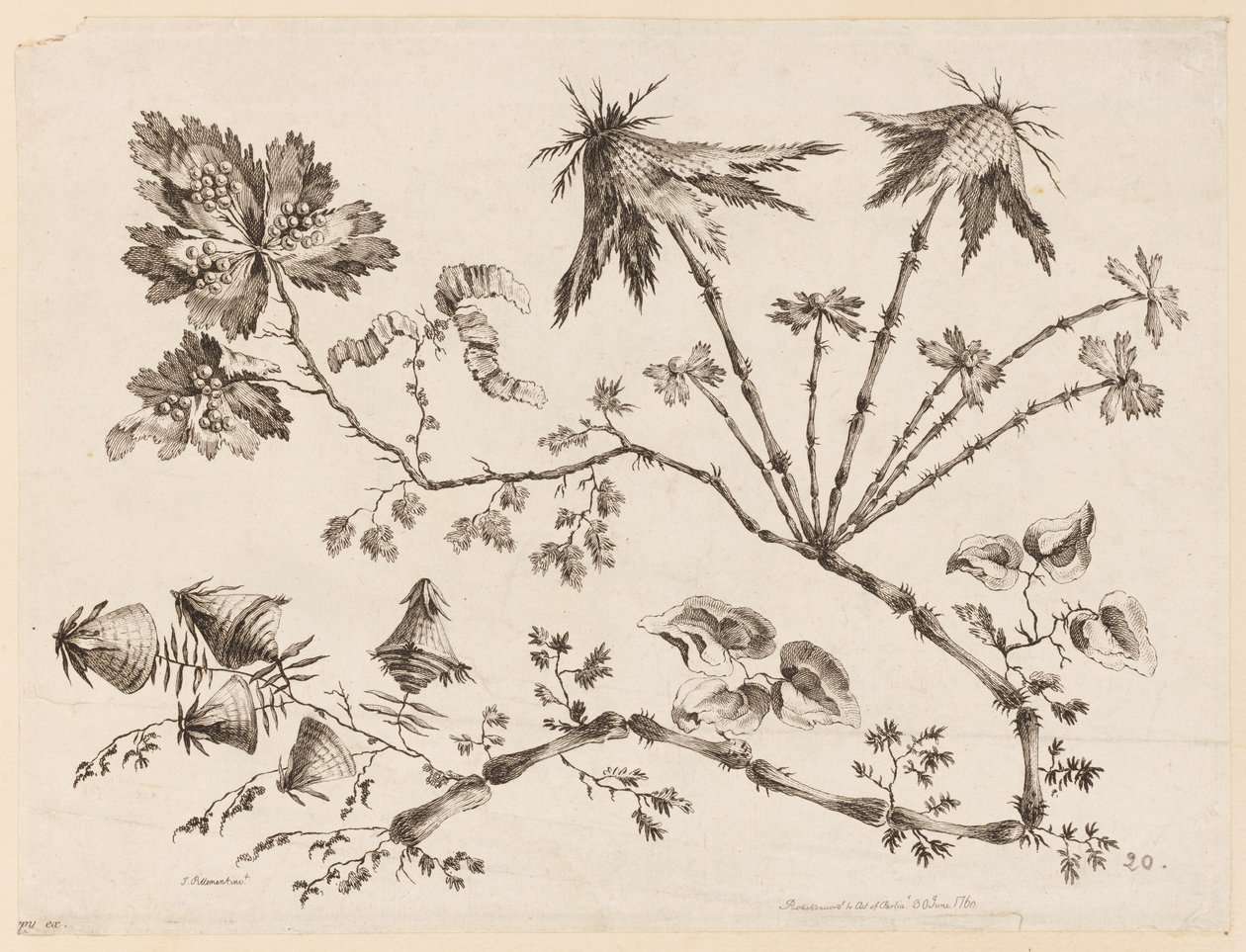 Flower Boughs, från "Collection of Different Fantasy Flowers in Chinese Taste" av Jean Baptiste Pillement