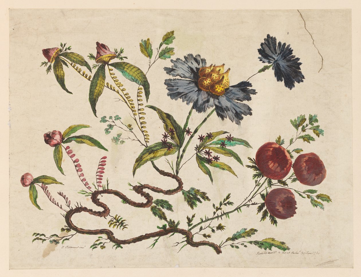 Flower Boughs, från "Samling av olika fantasiblommor i kinesisk smak" av Jean Baptiste Pillement
