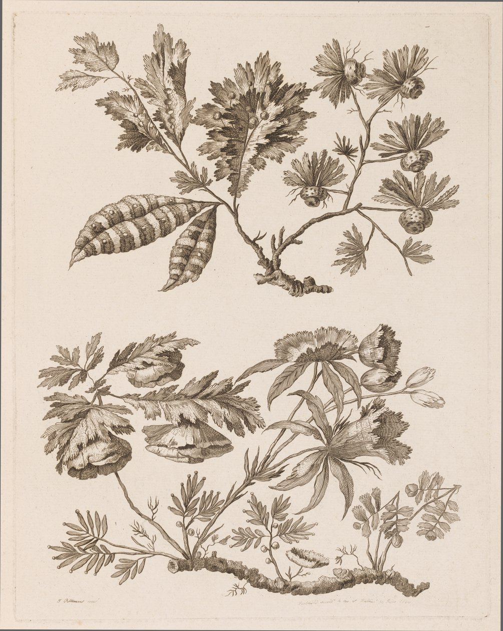 Flower Boughs, från "Samling av olika fantasiblommor i kinesisk smak" av Jean Baptiste Pillement