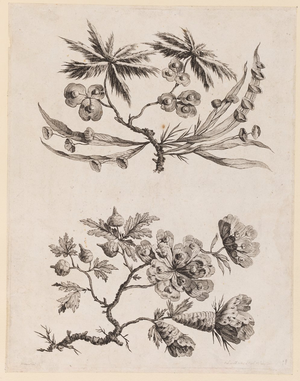 Blomkvistar från "Chinese Flower Collection" av Jean Baptiste Pillement