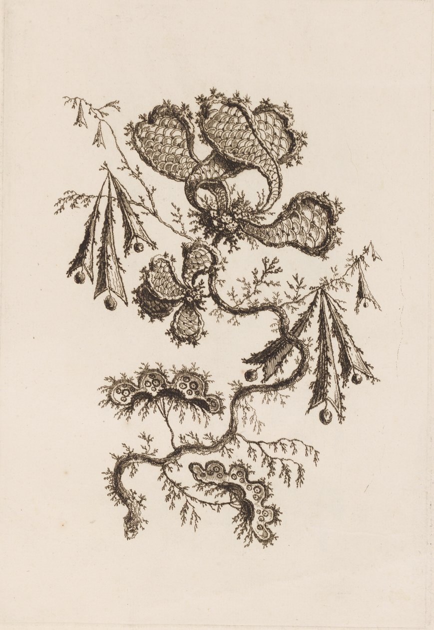 Flower Branch, från "Fleures Persannes" av Jean Baptiste Pillement