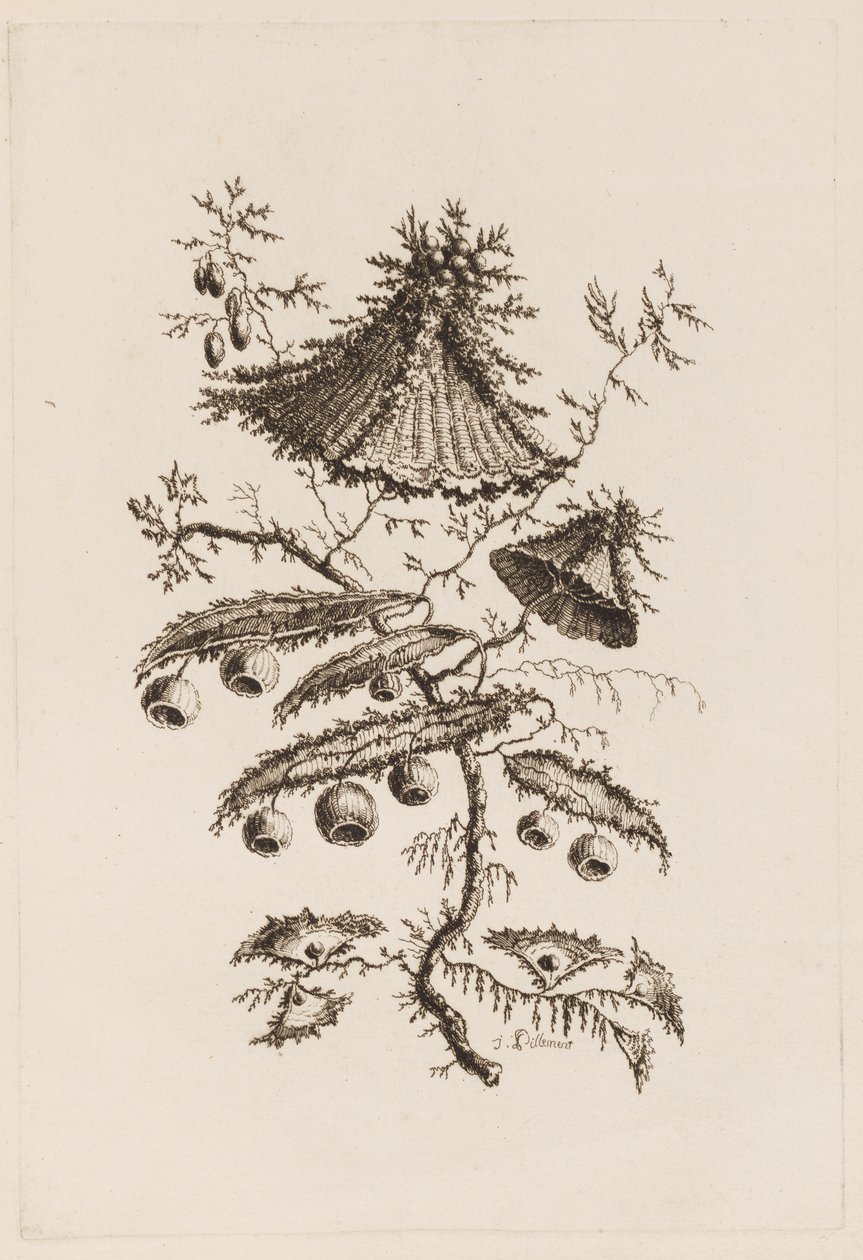Flower Branch, från "Fleures Persannes" av Jean Baptiste Pillement